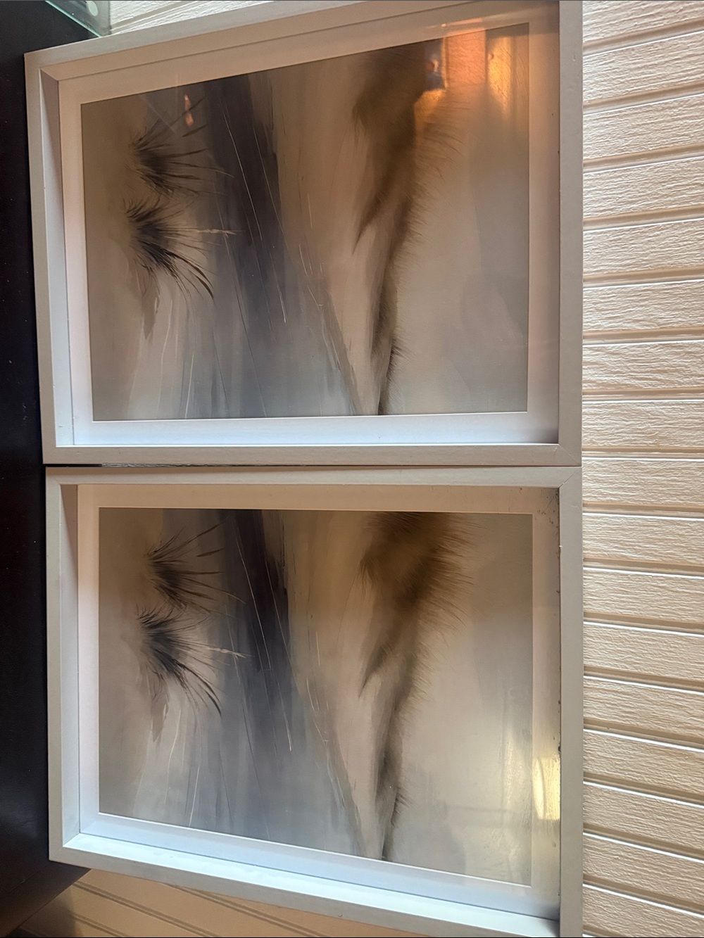 Neutral Abstract Feather Wall Art Print in White Frame